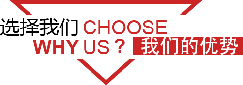 ǵ